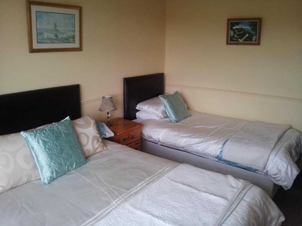 Tir Na Nog B&B Cashel  Eksteriør bilde