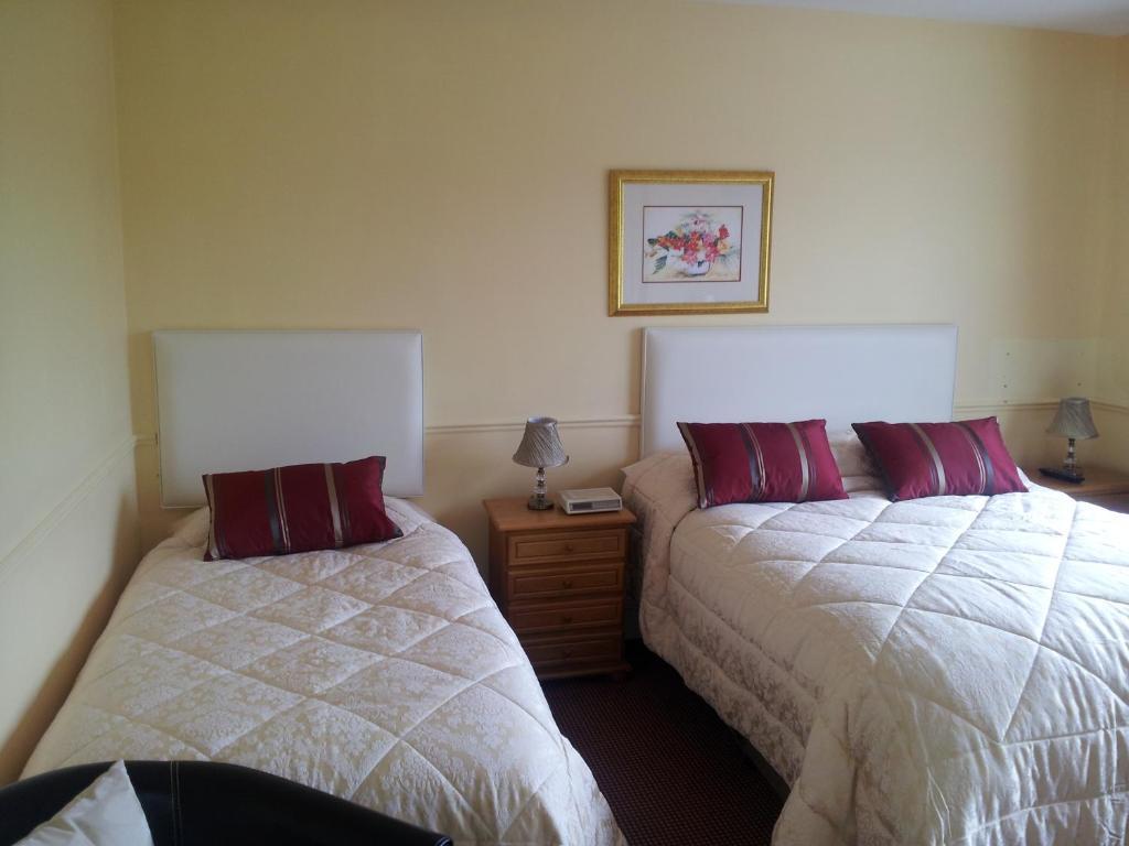 Tir Na Nog B&B Cashel  Eksteriør bilde
